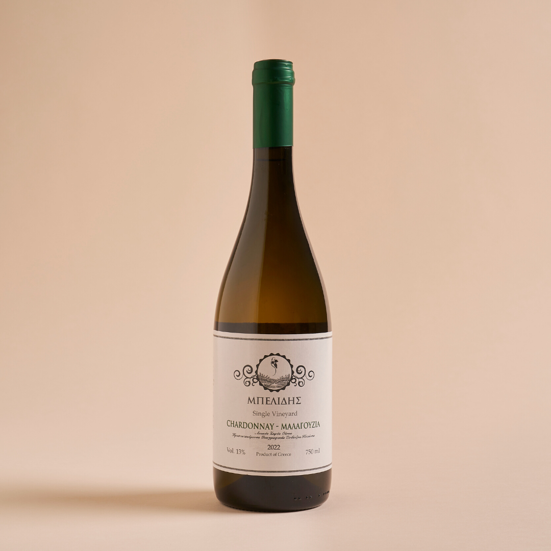 シャルドネ・マラグジア 2022